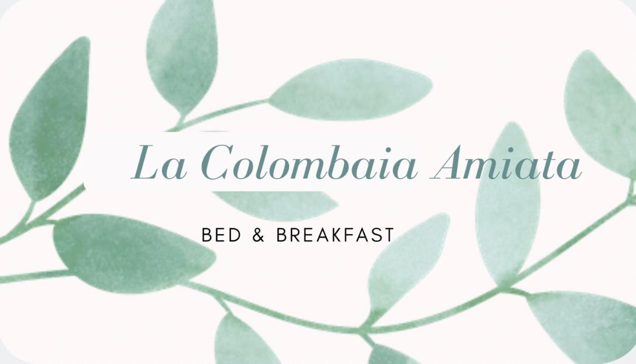 La Colombaia Amiata Bed and Breakfast Arcidosso Exterior foto